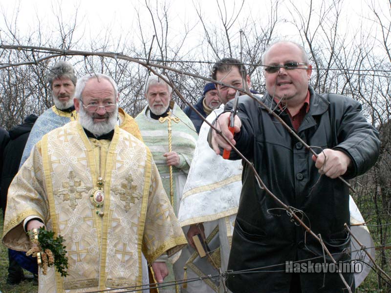 Кметът на Харманли Михаил Лисков зарязва лозята