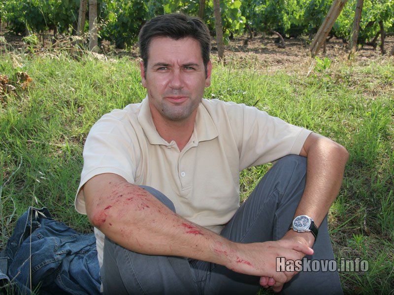 Драган Радославович