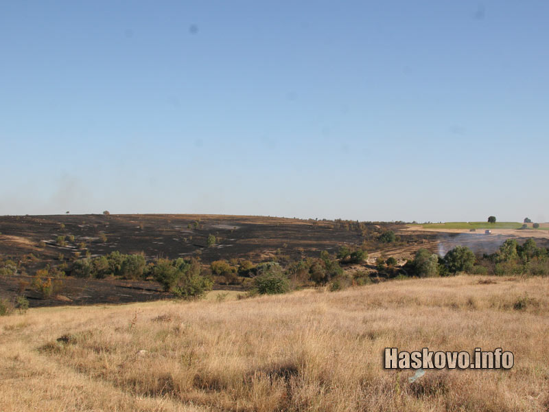 Изгорелите площи