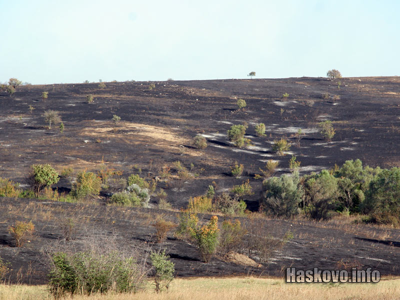 Изгорелите площи