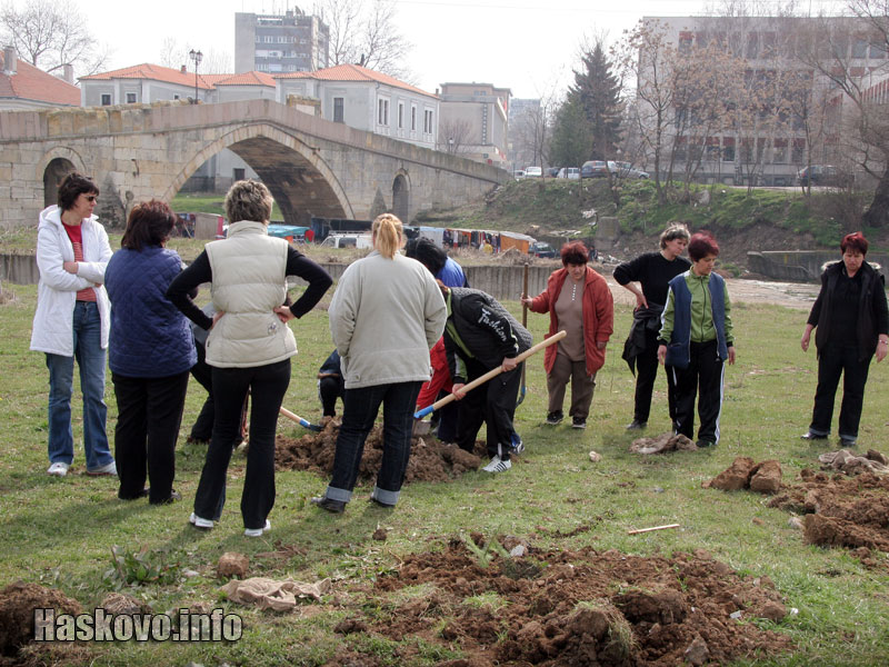 500 дръвчета за 500 години Харманли