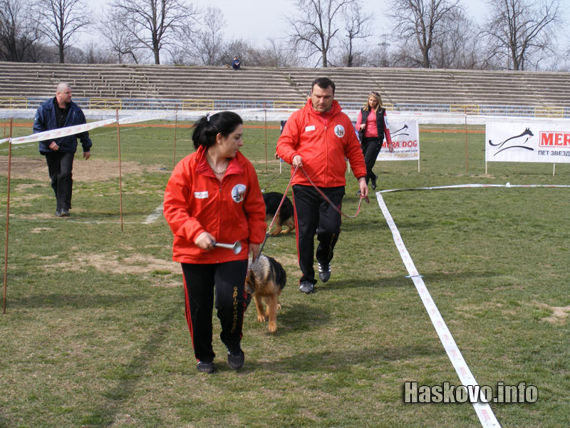 Киноложка изложба
