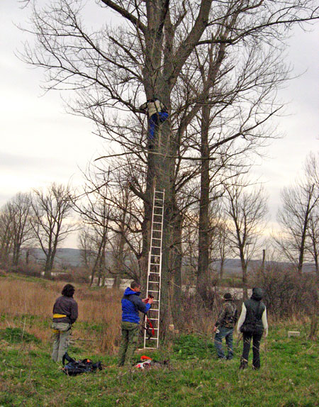 Поставянето на къщичките