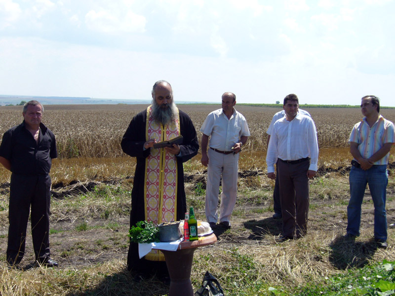 Молебена Молебена