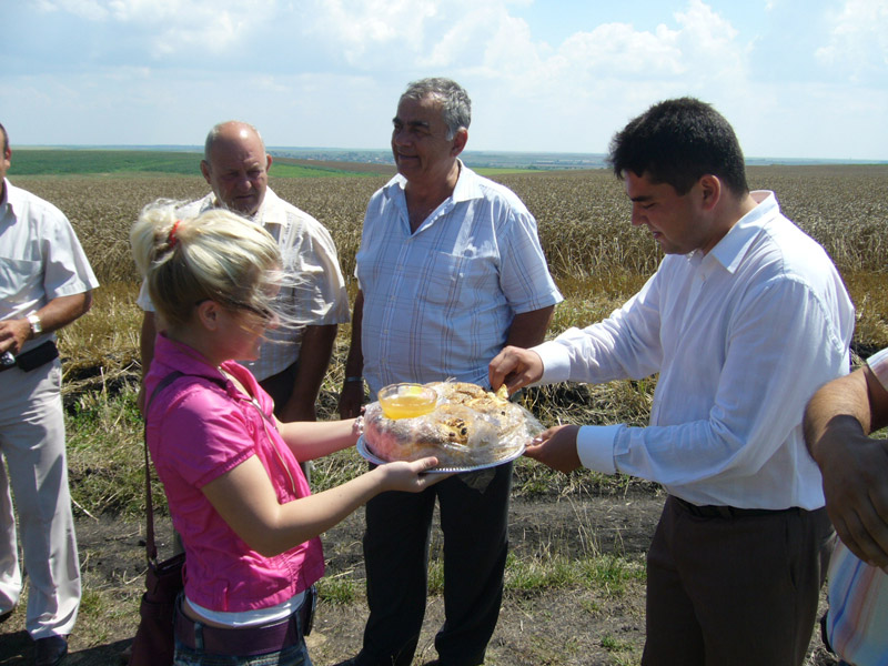 Питата Питата