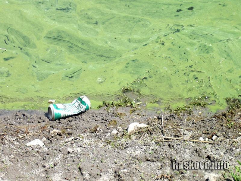 Кутийки от бира