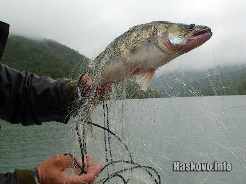 Откритите днес мрежи Откритите днес мрежи