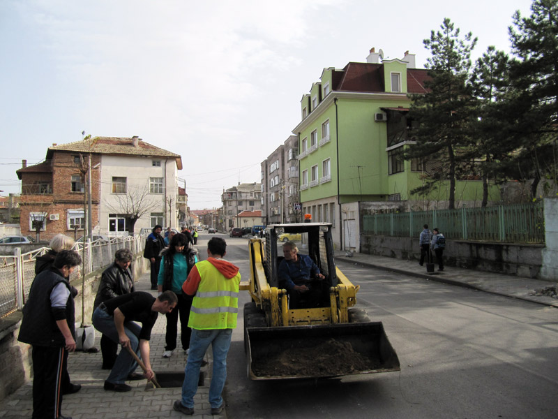 Дръвчетата бяха засадени преди седмица