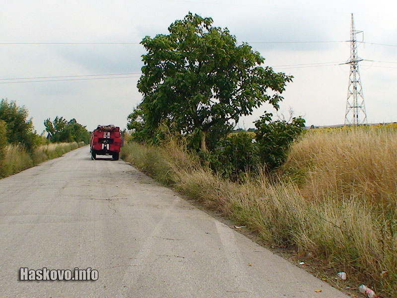 Колата е излетяла от пътя и се е ударила в дърво Колата е излетяла от пътя и се е ударила в дърво