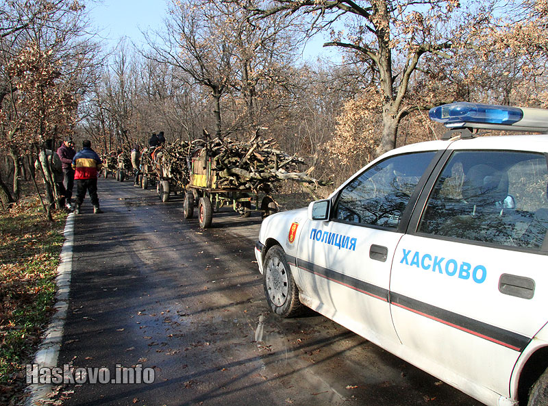 Незаконна сеч, илюстрация