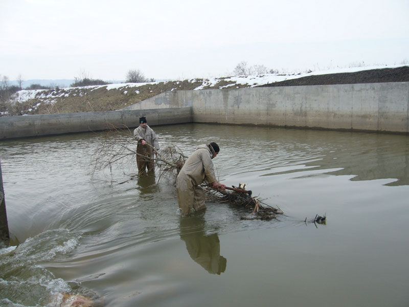 Река Мартинка