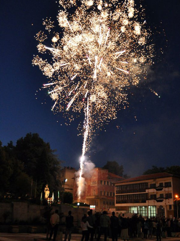 Илиева нива 2012