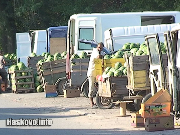 Борсата за дини в Любимец