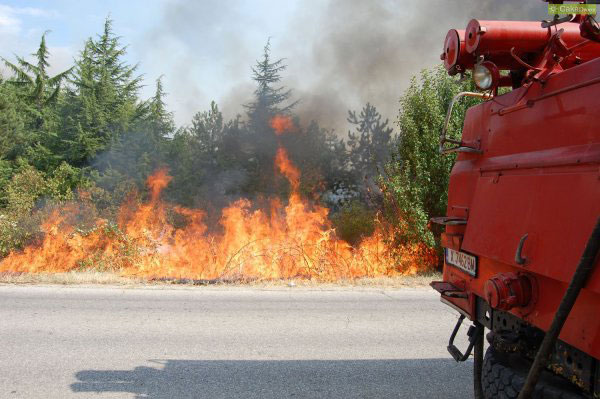 Снимки от Сакарнюз