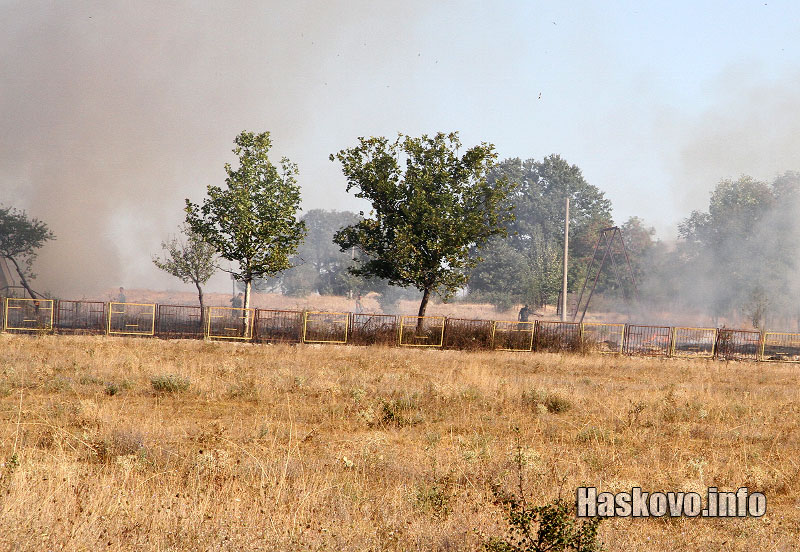 пожара край корен