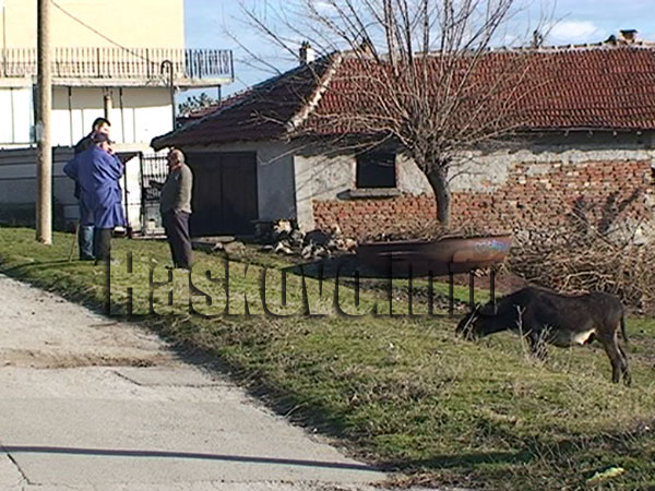 Анкета в Стамболийски