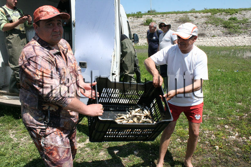 Зарибяването