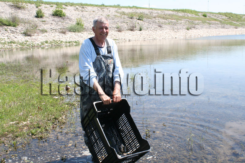 Зарибяването