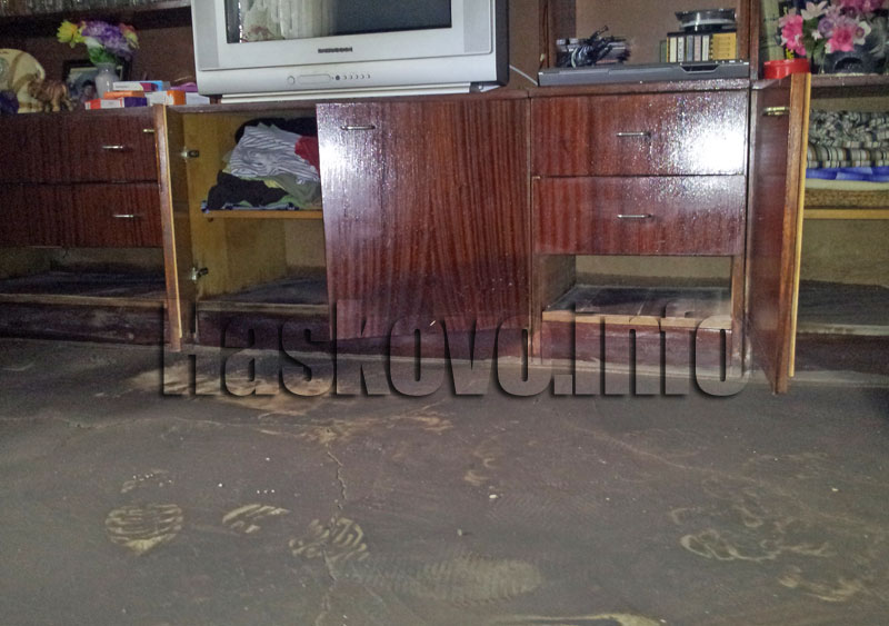 Щетите от наводнението