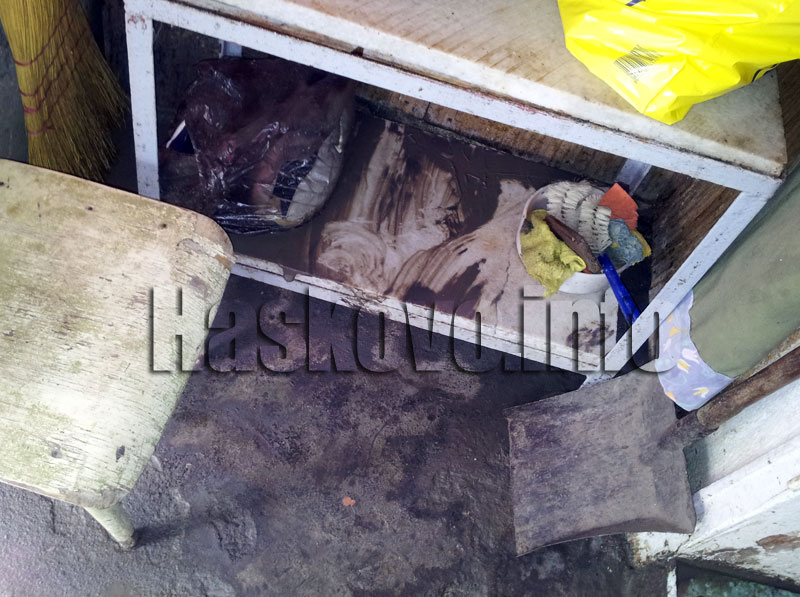 Щетите от наводнението