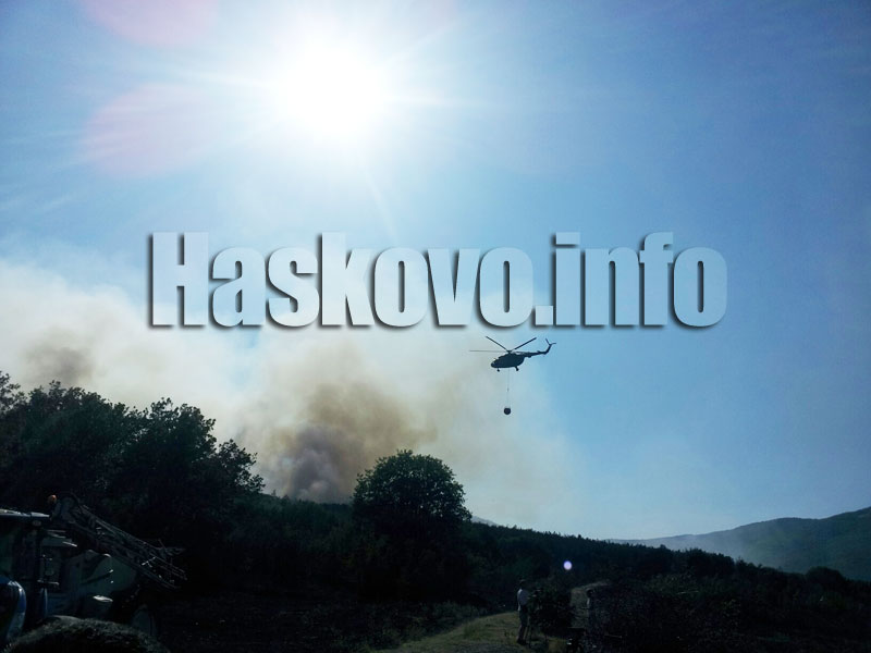 Пожар, архив