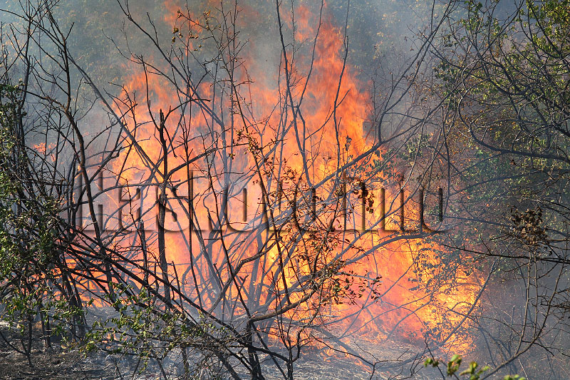 Пожар, илюстрация