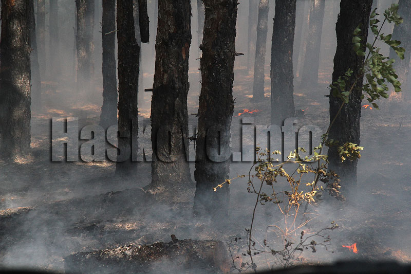 Пожар, илюстрация