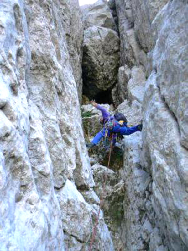 Стената, архив