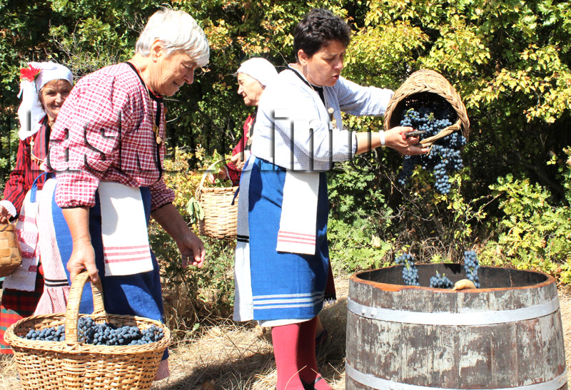 Гроздобер Гроздобер