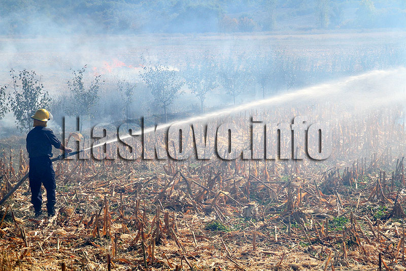 пожара пожара