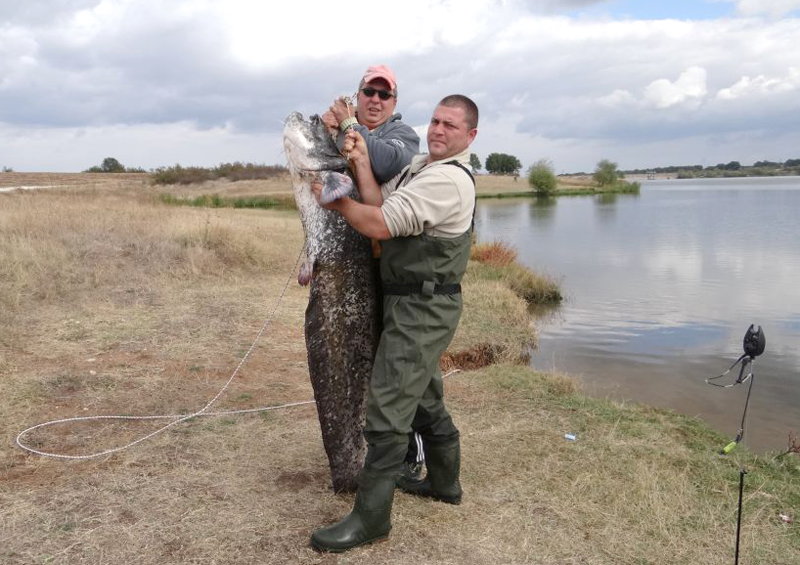 Сомове Сомове