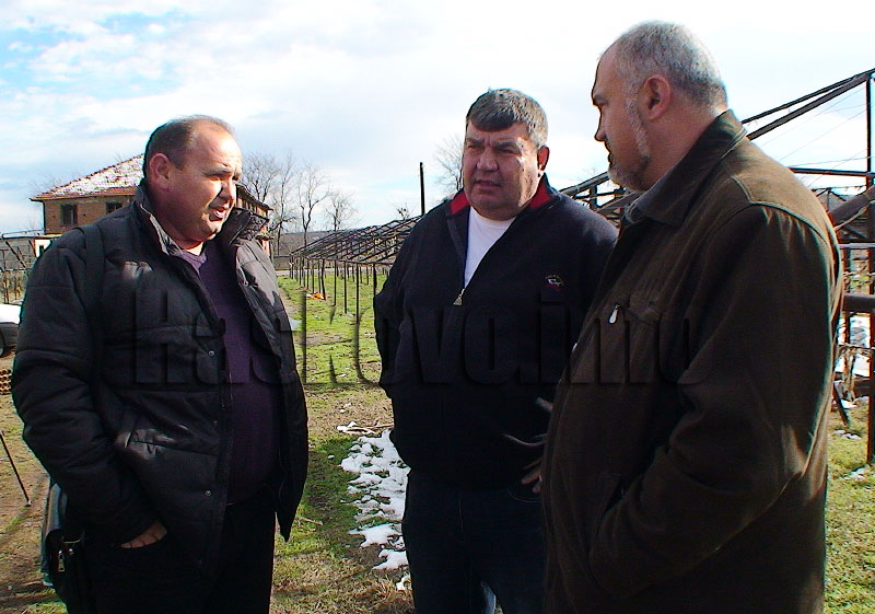 Тютюнопроизводители