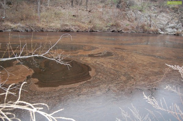 Снимка от Сакар Нюз