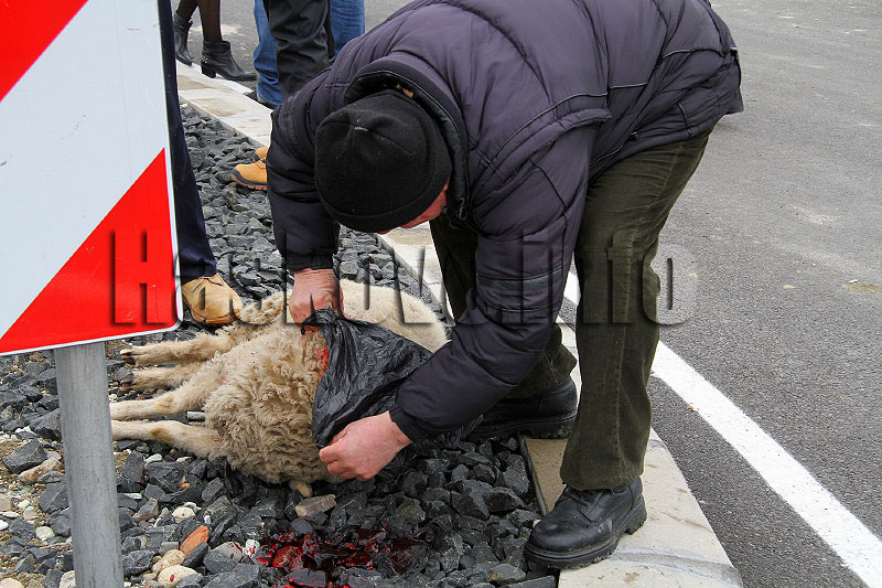 Откриването на пътя