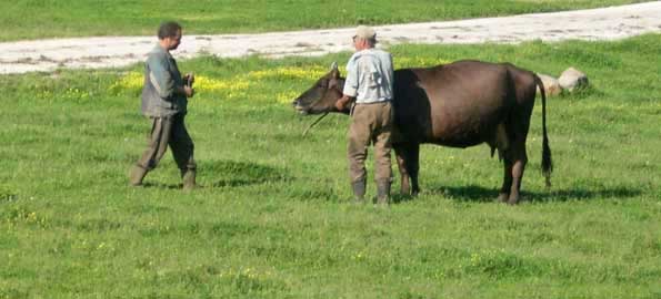 Илюстрация