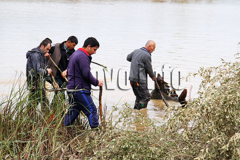 издирването продължава