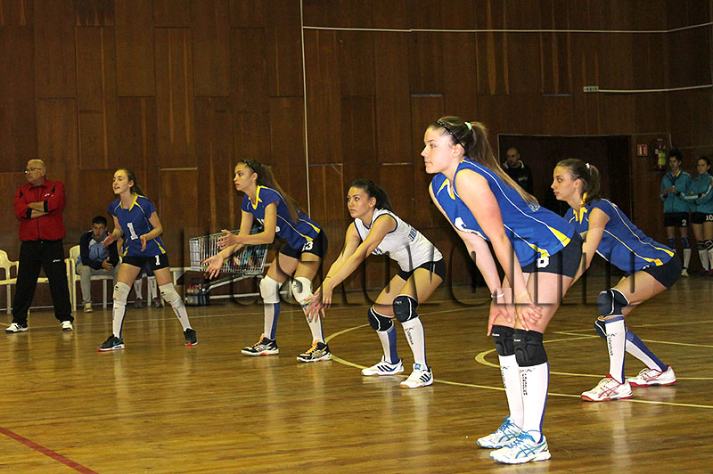 Волейбол Волейбол