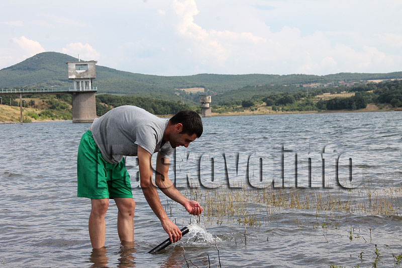 Зарибяване