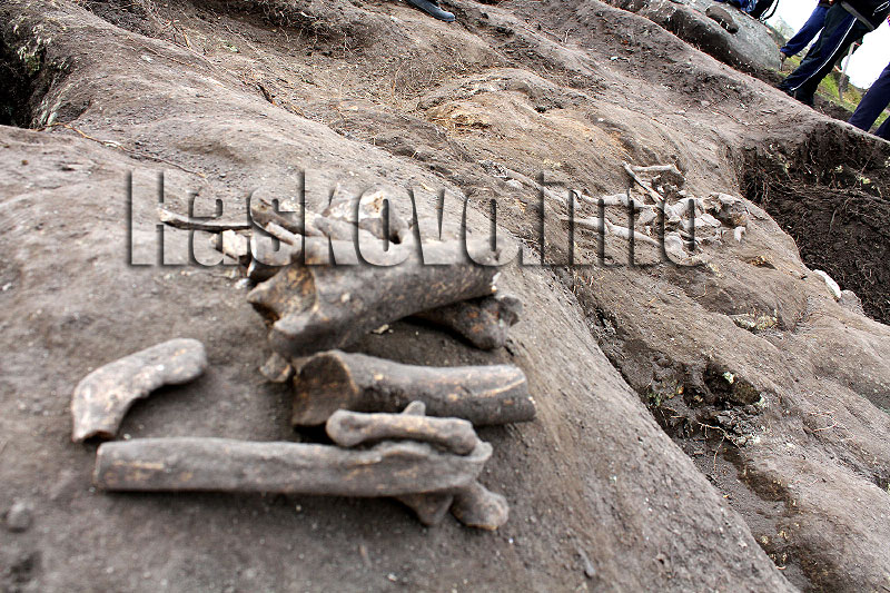 Разкопки Разкопки