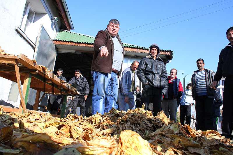 Тютюн Тютюн