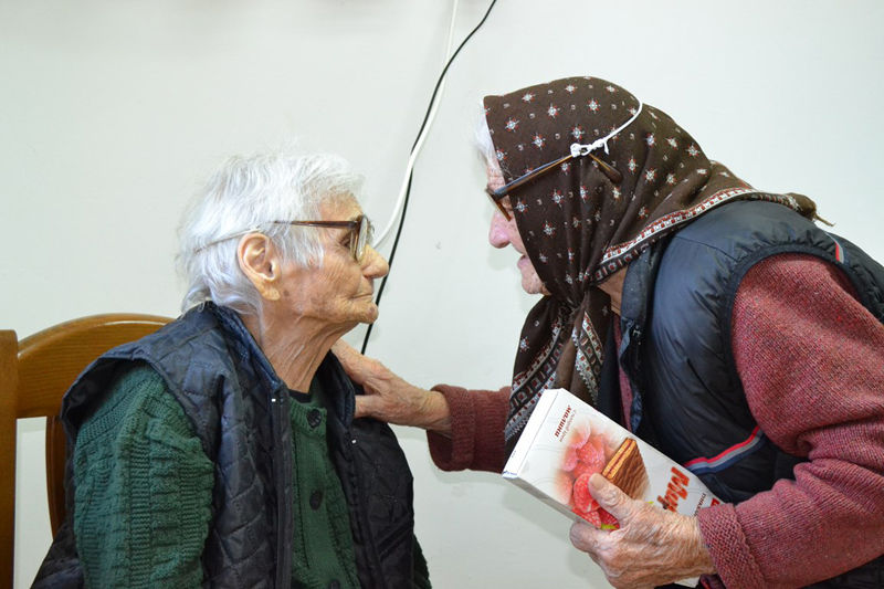 Столетница Столетница