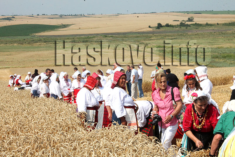 Жътва Жътва