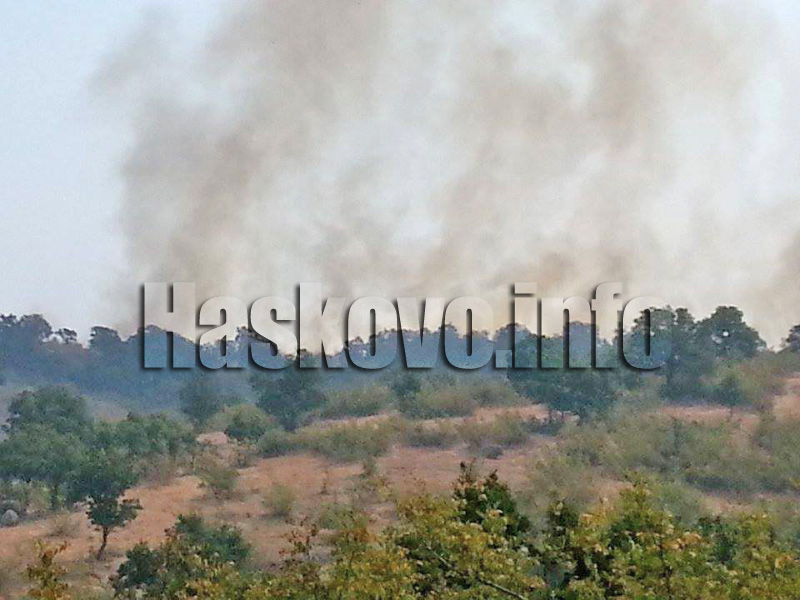 Горски пожар, илюстрация