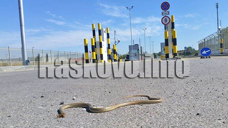 Илюстрация