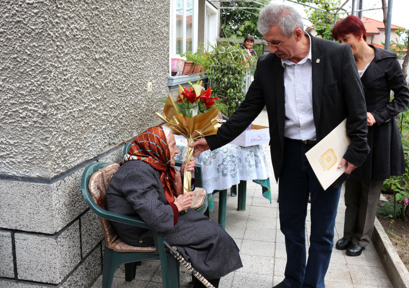 Столетница