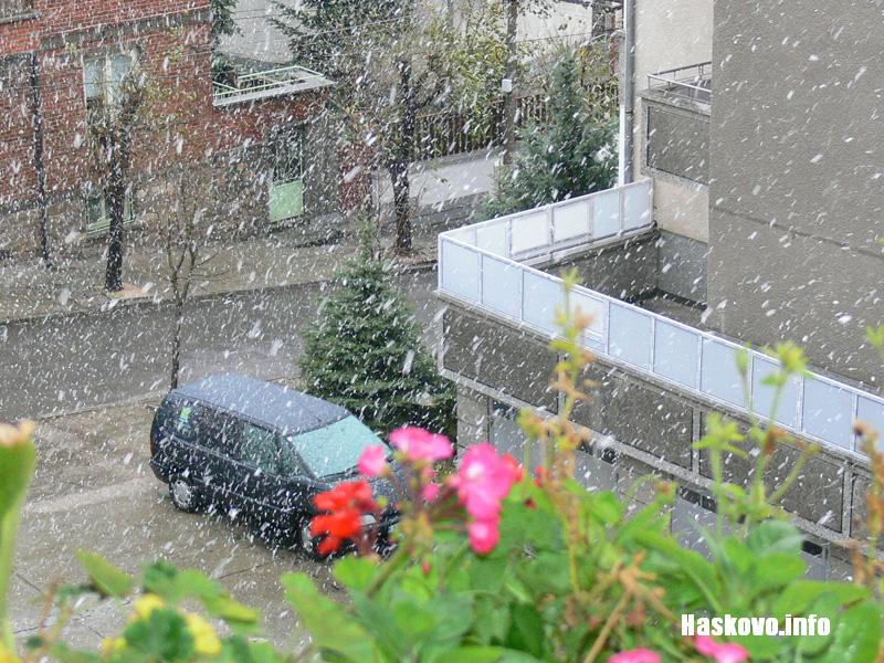 Снимки: Георги Даскалов