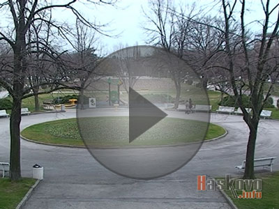 Алея на новия живот