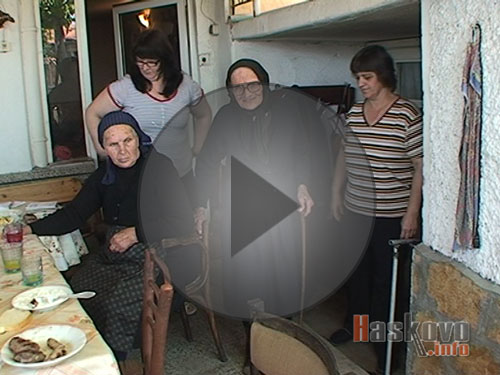 Столетница