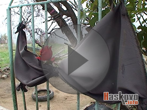 Бебе почина от глад