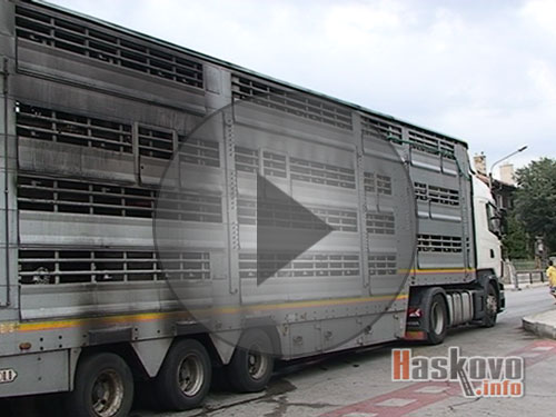 Камион с бикове горя в движение